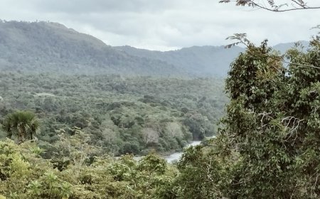 Forest Waqf