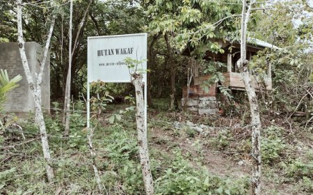 Waqaf Forest Expedition