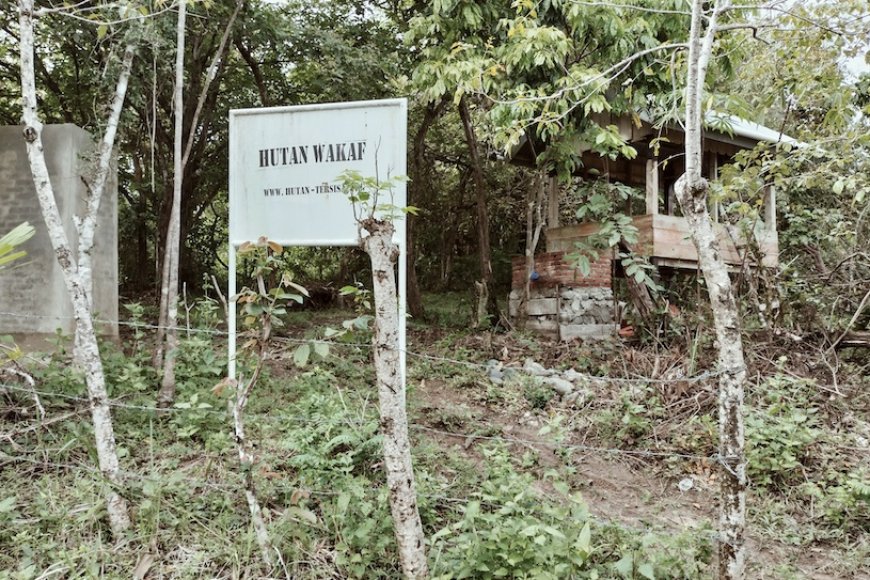 Ekspedisi Hutan Wakaf