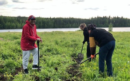 Learning sustainability from the Finnish