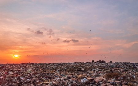 Reduce waste in Green Ramadan