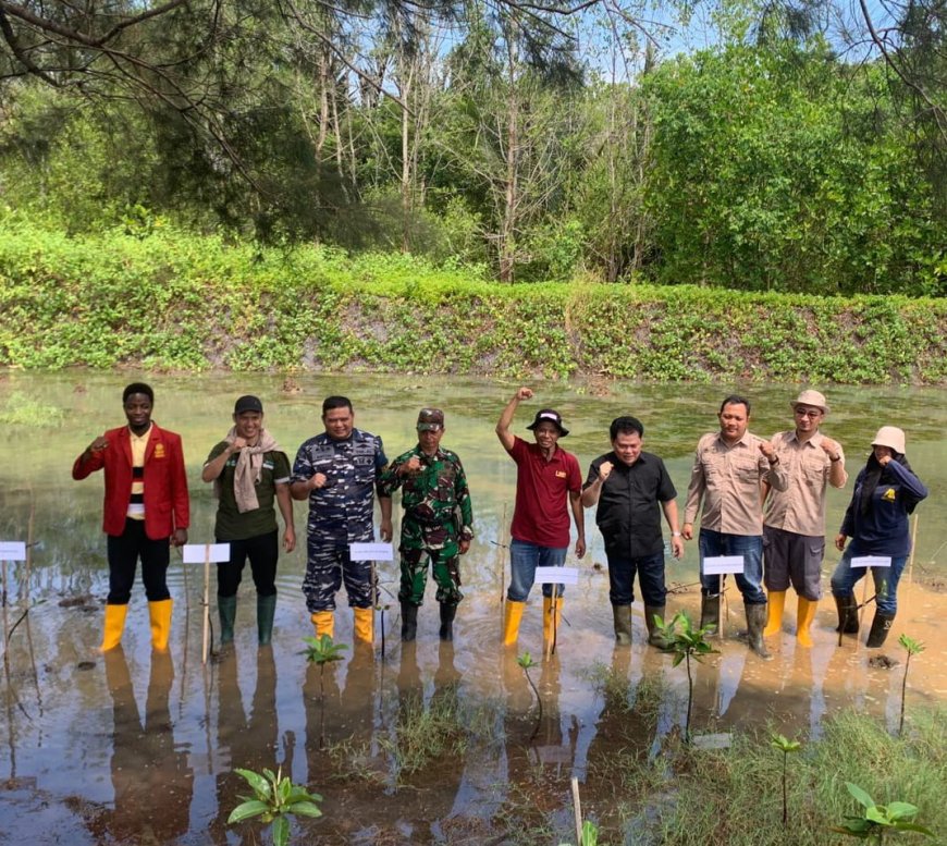 MLH Muhammadiyah Plant Thousand Mangrove Trees