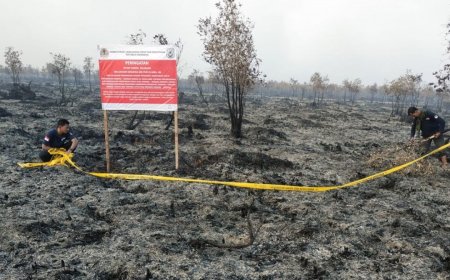 Waqf Forest may prevent forest fire from upstream