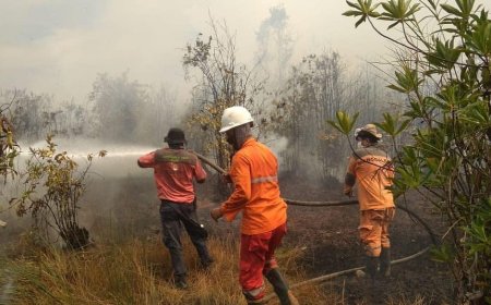 MUI Fatwa to extinguish forest fire