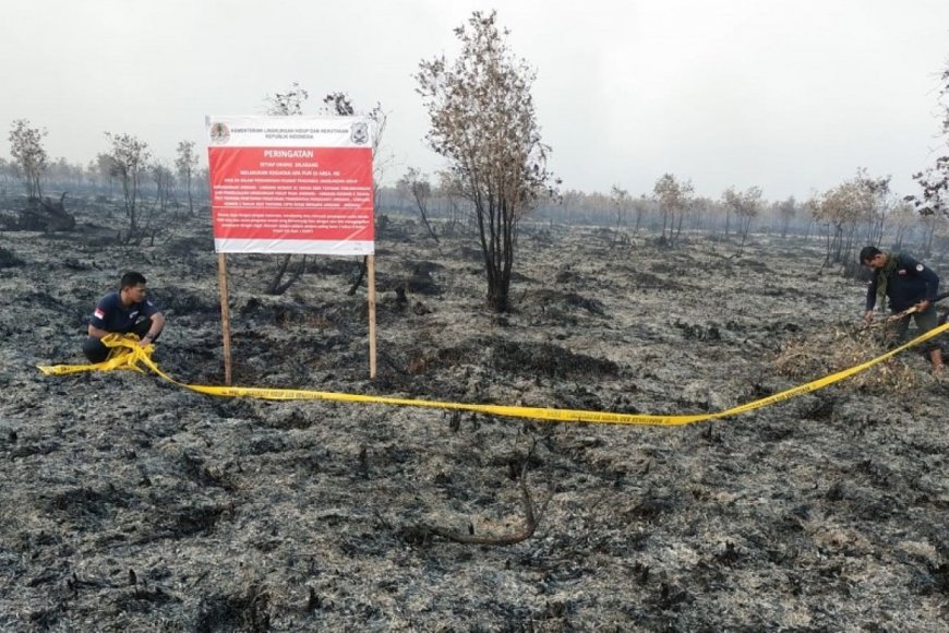 Hutan Wakaf, Upaya Cegah Karhutla dari Hulu