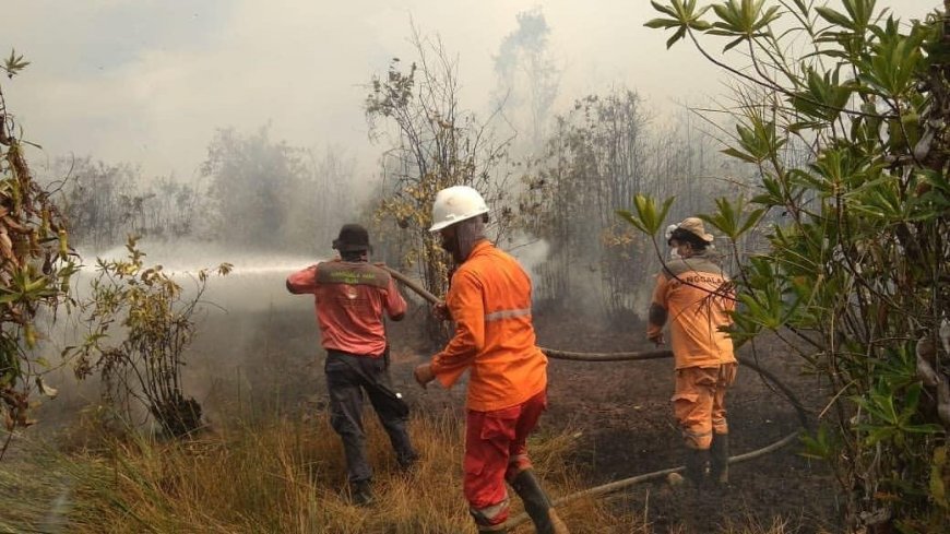 Fatwa MUI untuk 'Padamkan' Karhutla