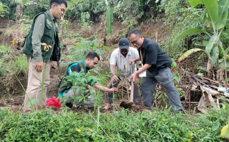 Sambangi Hutan Wakaf Bogor, MOSAIC Tanam Pohon di Lahan Kritis