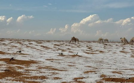 Northern Saudi Peninsula shrouded in snow, how did it happen?