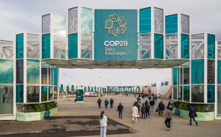 Komitmen Iklim Versus Eksplorasi Fosil Azerbaijan Sebagai Pemimpin COP-29