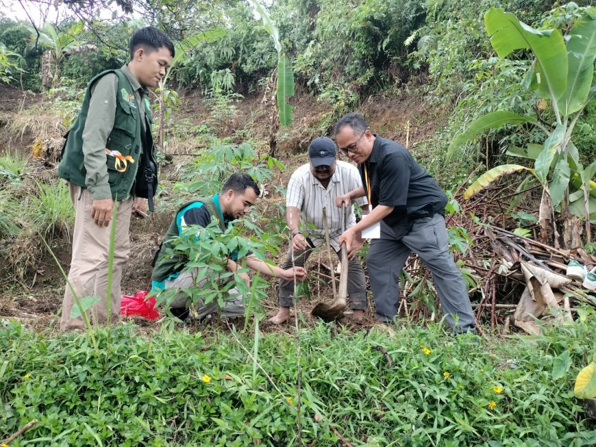 Sambangi Hutan Wakaf Bogor, MOSAIC Tanam Pohon di Lahan Kritis