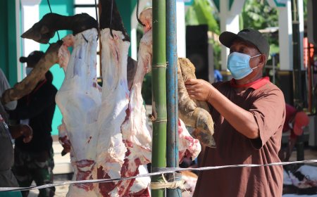 MLH PP Muhammadiyah Launched Green Qurban