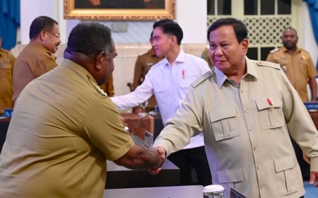Presiden Dorong Pemanfaatan Energi Terbarukan dari Matahari dan Air untuk Daerah Terpencil
