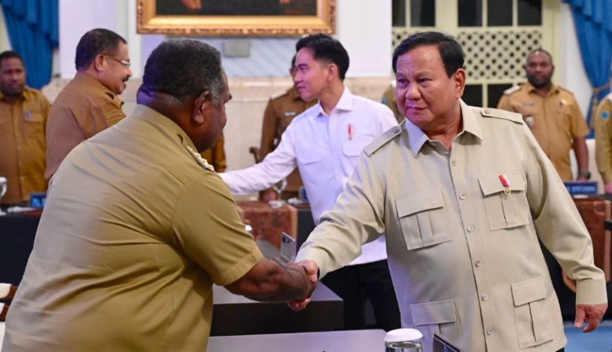 Presiden Dorong Pemanfaatan Energi Terbarukan dari Matahari dan Air untuk Daerah Terpencil